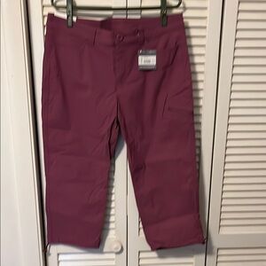 Stylish Purple Pants